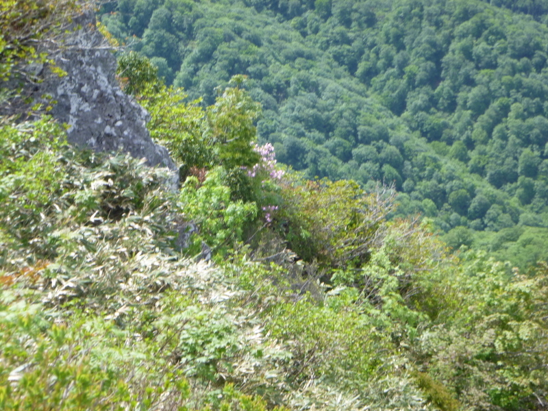 d0170615_19152004.jpg