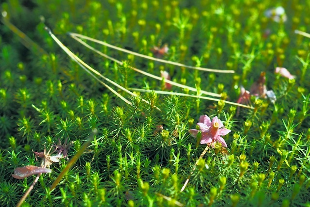 a0293417_15515049.jpg