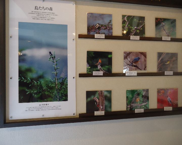 b0248920_07493721.jpg
