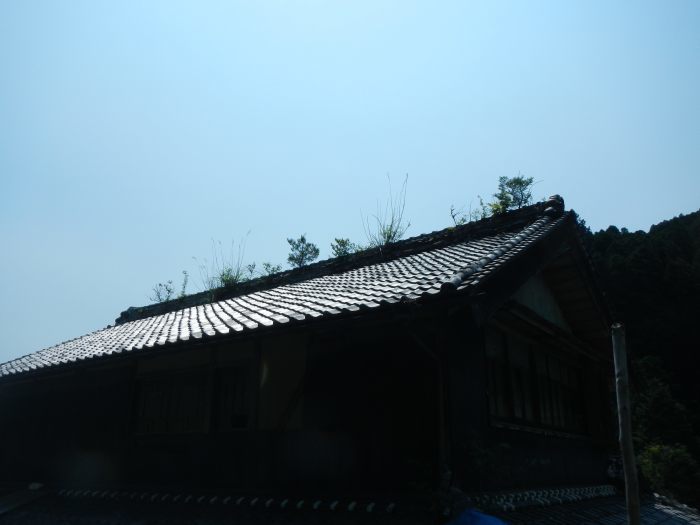 c0212823_13202820.jpg