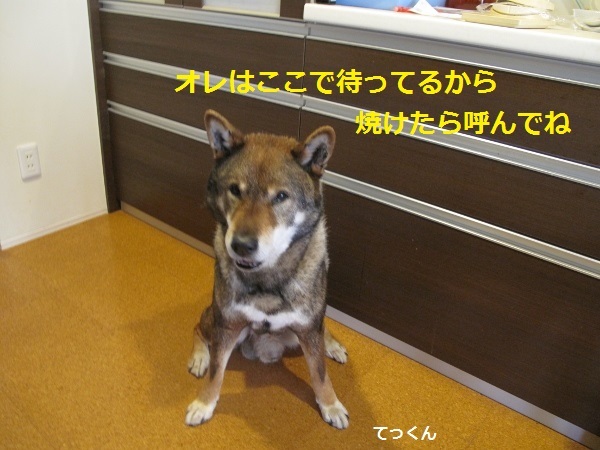 f0143123_13240574.jpg