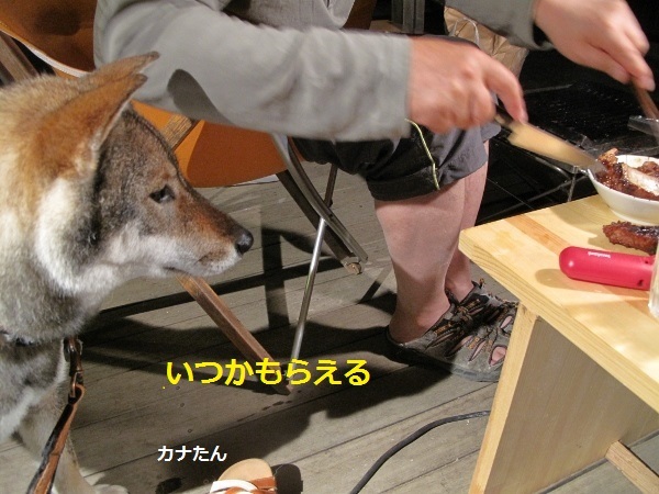 f0143123_13344000.jpg