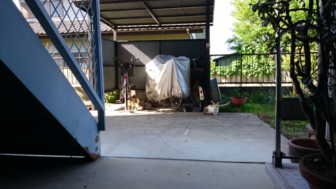 b0251624_20341298.jpg