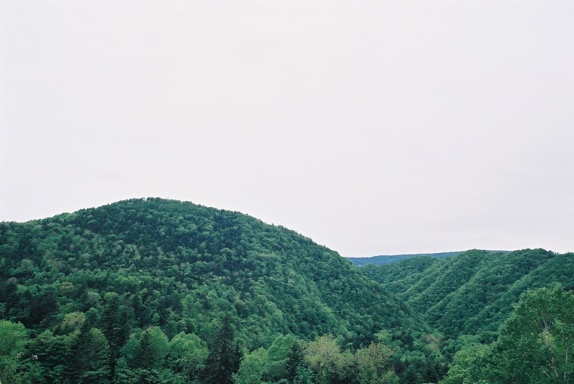 f0362725_14214864.jpg