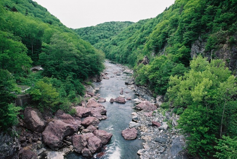 f0362725_14221031.jpg