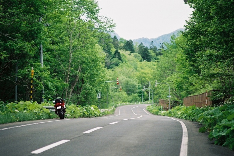 f0362725_14224656.jpg