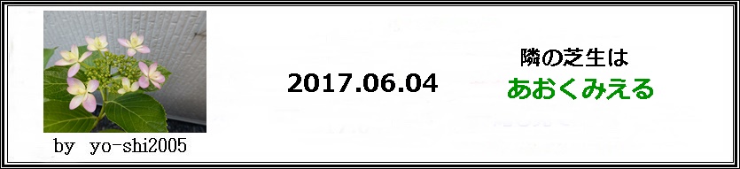 e0033229_18202186.jpg