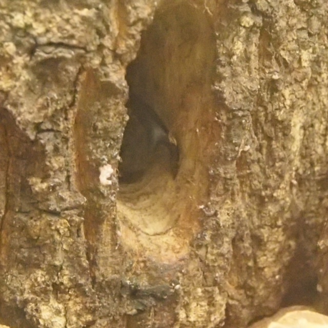 f0177529_23235746.jpg