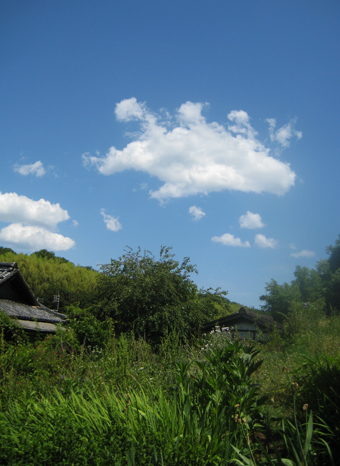 d0146230_21463092.jpg