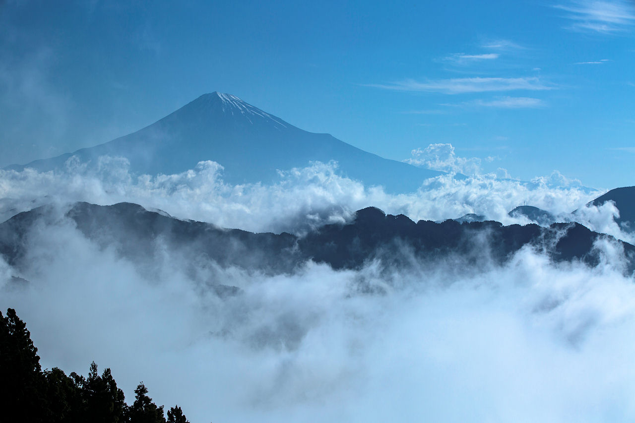 b0249832_1462420.jpg