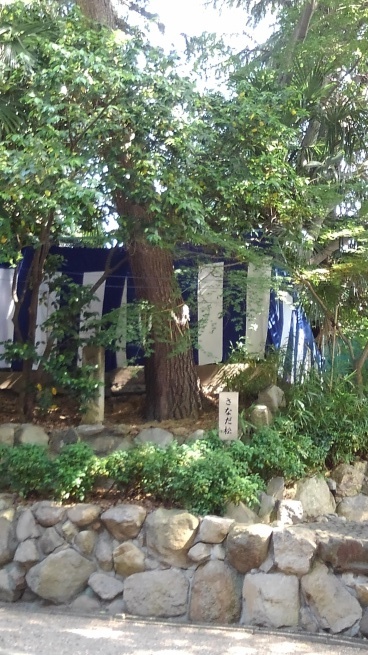 c0236632_22580182.jpg