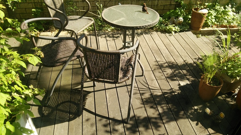 f0002833_1212395.jpg