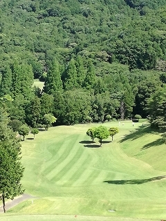 c0147935_14253362.jpg