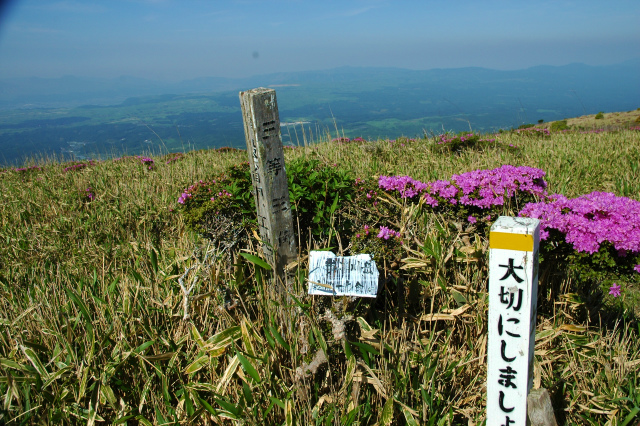 e0272335_20232819.jpg