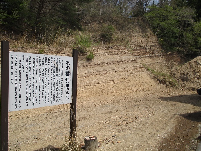 c0155436_09252399.jpg