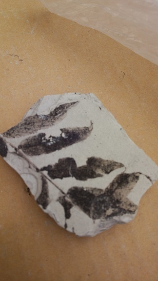 c0155436_09362826.jpg