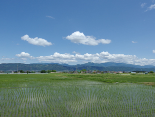 a0014840_21171857.jpg
