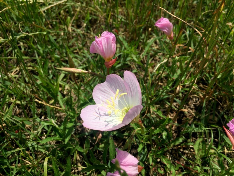 b0057140_13110090.jpg