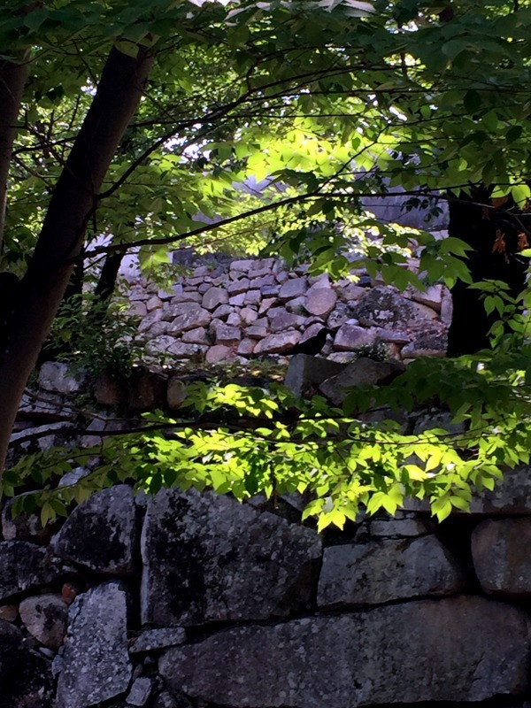 b0057140_13203965.jpg