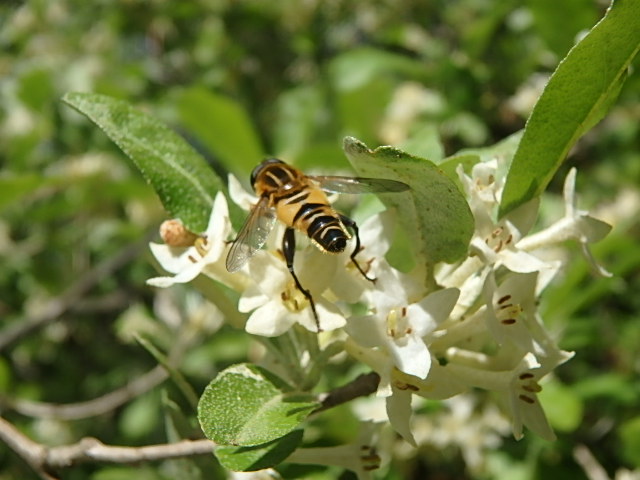 f0334143_18542325.jpg