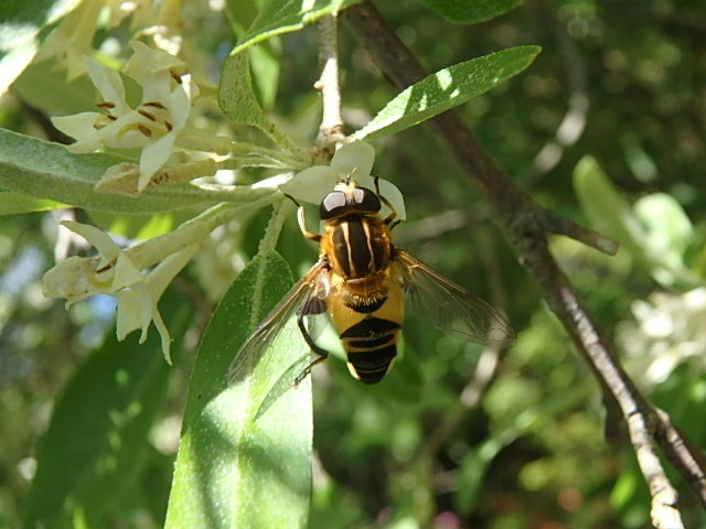 f0334143_18543062.jpg