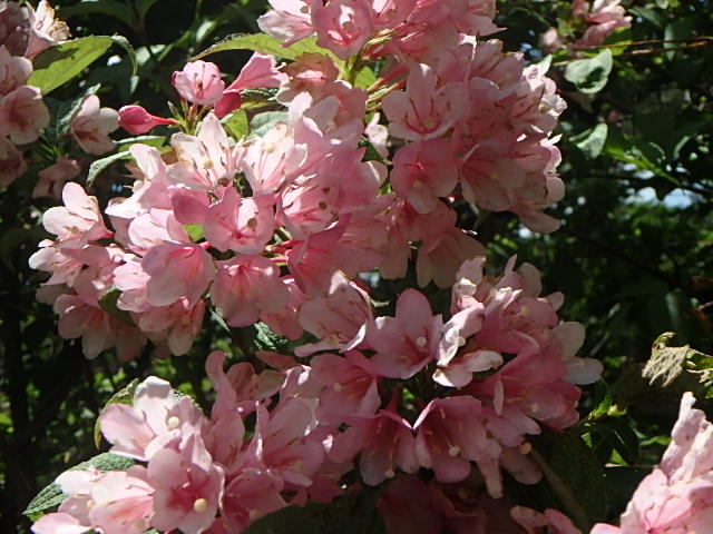 f0334143_18551383.jpg