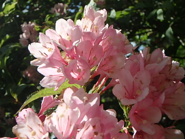 f0334143_18552269.jpg