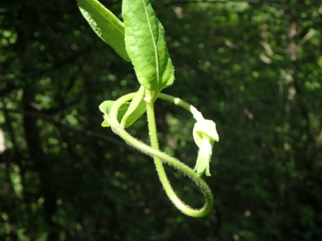 f0334143_18553844.jpg