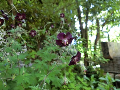 f0019247_22173368.jpg