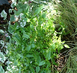 f0087347_2101262.jpg