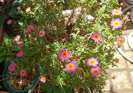 f0087347_2112838.jpg
