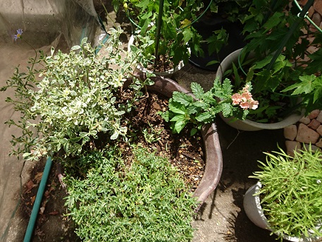 f0087347_2123458.jpg