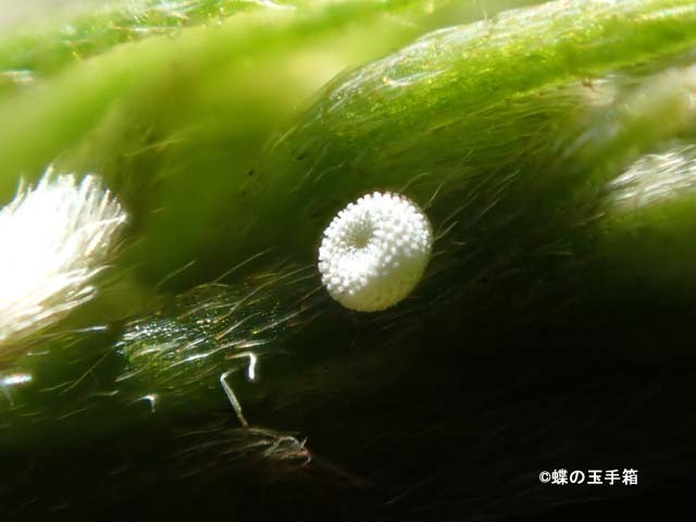 b0107948_18540968.jpg