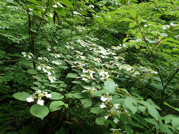 f0214649_04191142.jpg