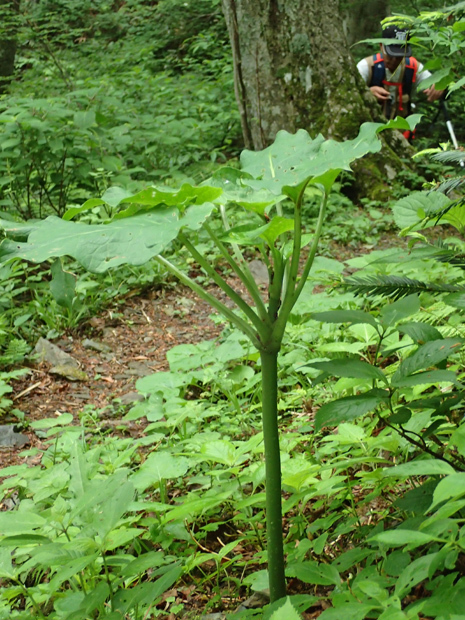 f0214649_04191207.jpg