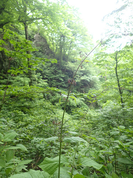 f0214649_04305593.jpg