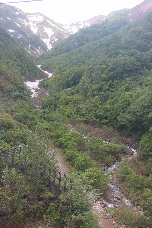 b0250154_07253986.jpg