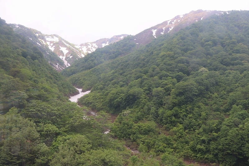 b0250154_07260452.jpg