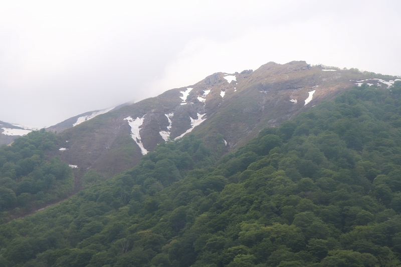 b0250154_07262055.jpg