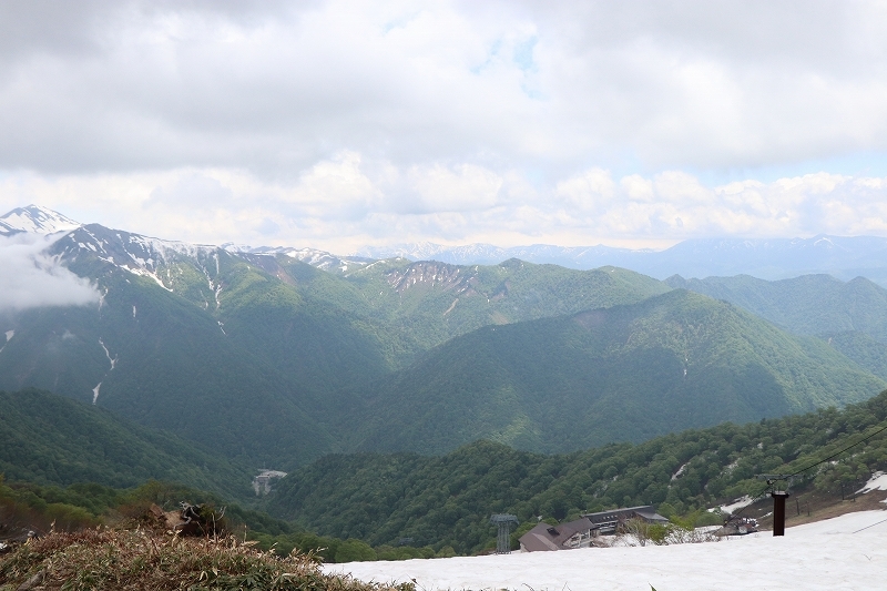 b0250154_20470254.jpg