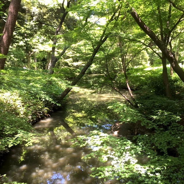 f0163561_17072418.jpg