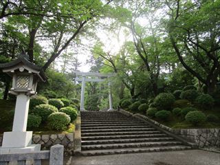 d0045362_11292554.jpg