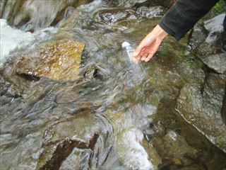 d0045362_11302243.jpg