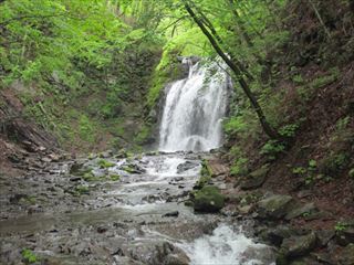 d0045362_11303089.jpg