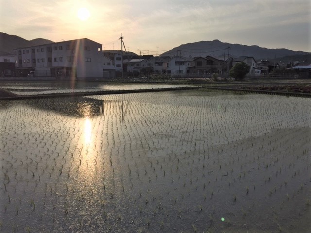 b0044663_00552858.jpg