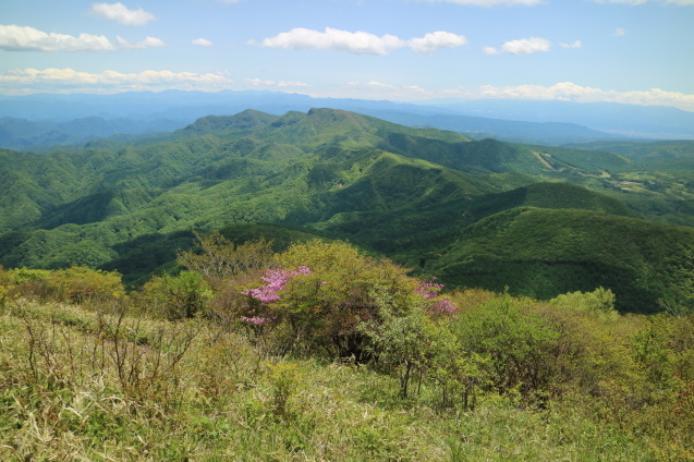f0345263_17162521.jpg