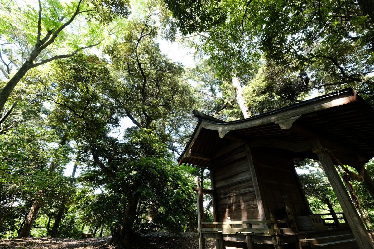 c0084666_10024703.jpg