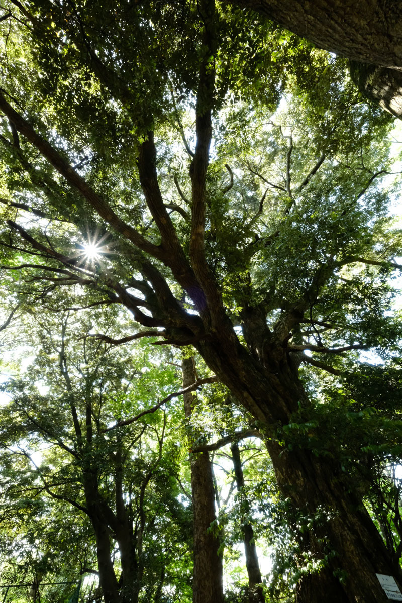 c0084666_10024809.jpg