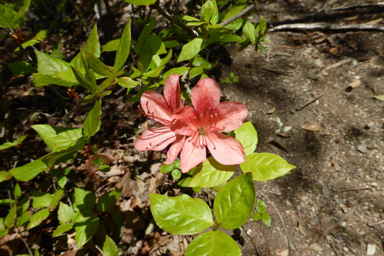 a0019668_1654149.jpg