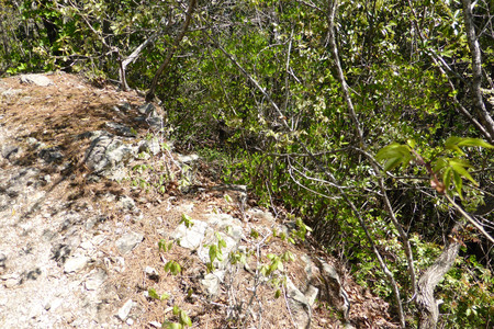 a0019668_16551430.jpg